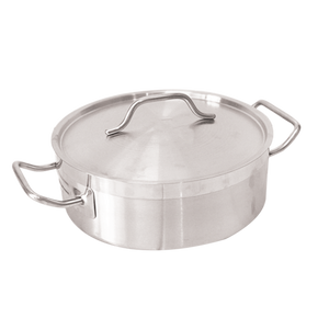 Stainless Steel Stew Pot with Lid