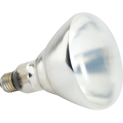 250-watt Warming Bulb - Eco Prima Home and Commercial Kitchen Supply